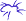 spider-logo.gif (172 bytes)